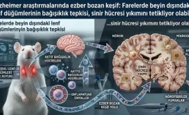 Alzheimer Araştırmalarını Sarsan Keşif: Beyindeki Yıkımın Emri Başka Yerden Geliyor!